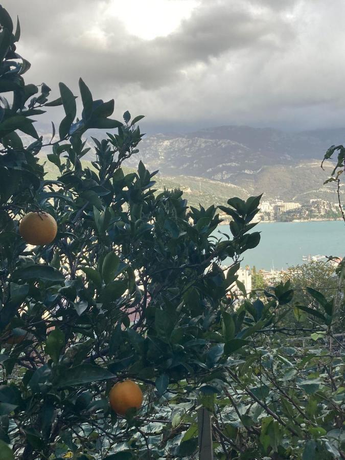 Guest House Garden Budva Bagian luar foto